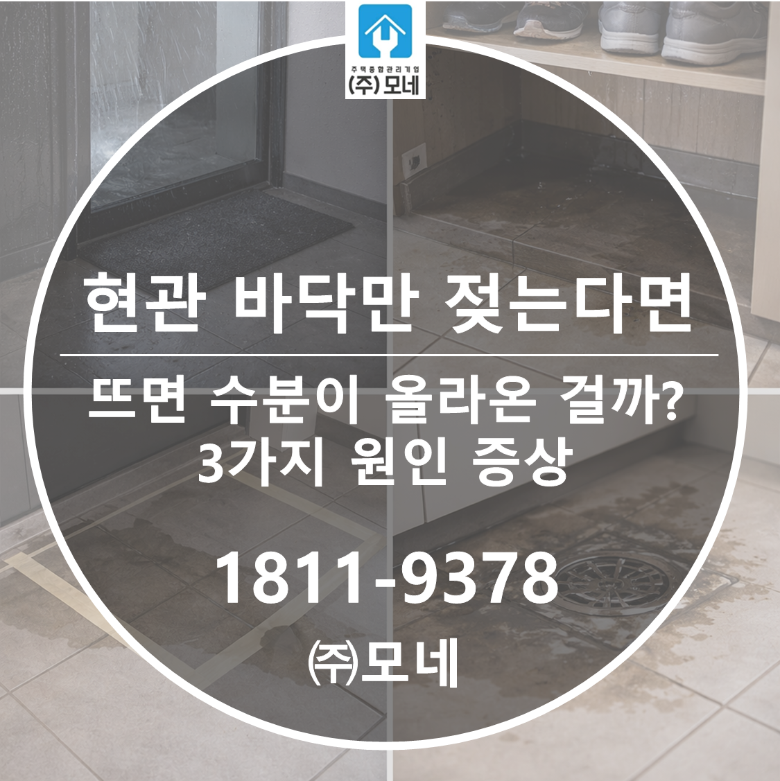 현관 바닥만 젖는다면 외부 유입일까? 2가지 판단 기준