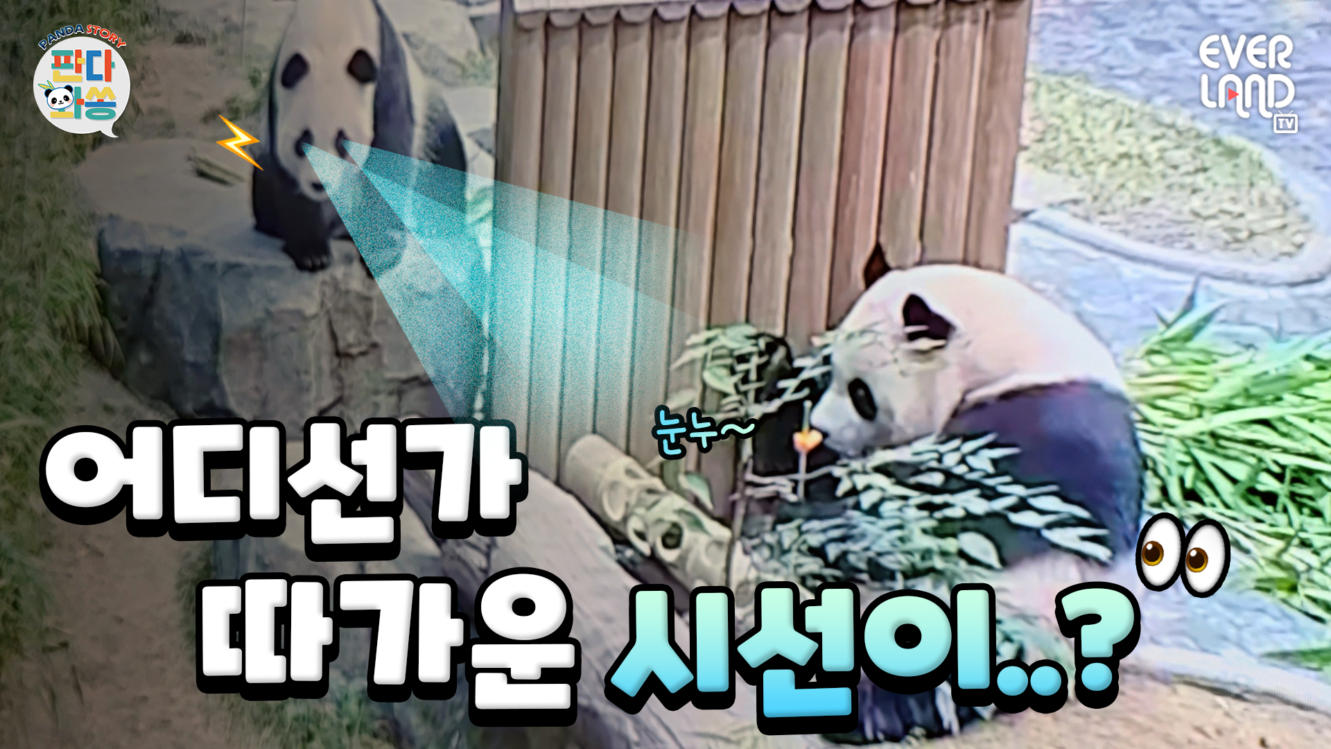 후또삐(후이 또 삐짐)｜#판다와쏭 #277