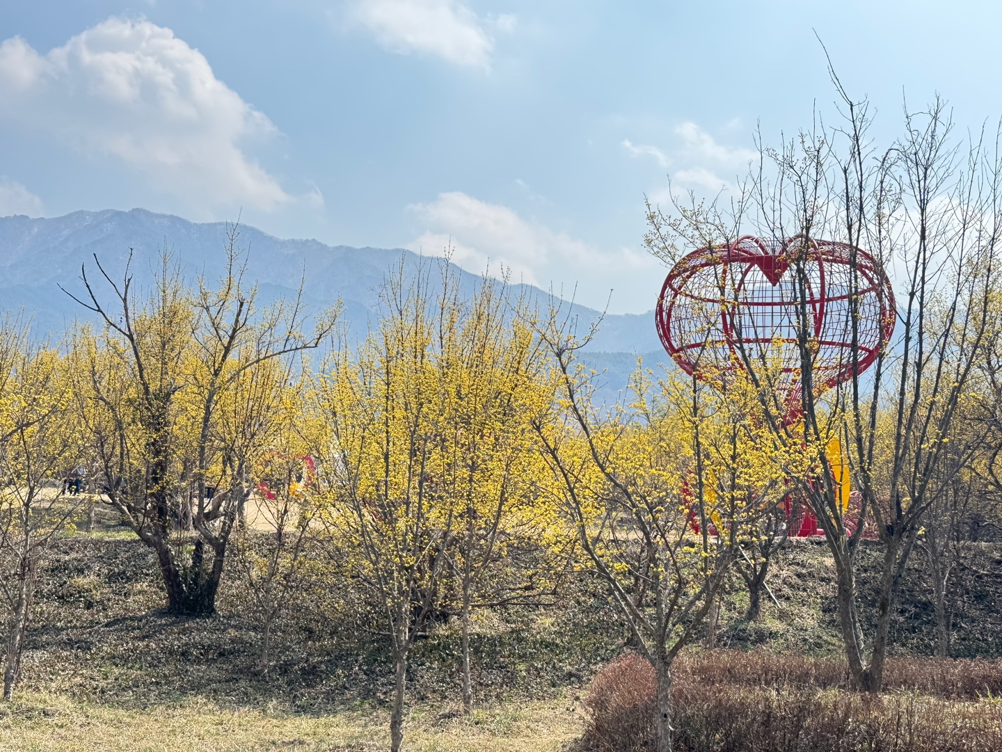 구례산수유축제