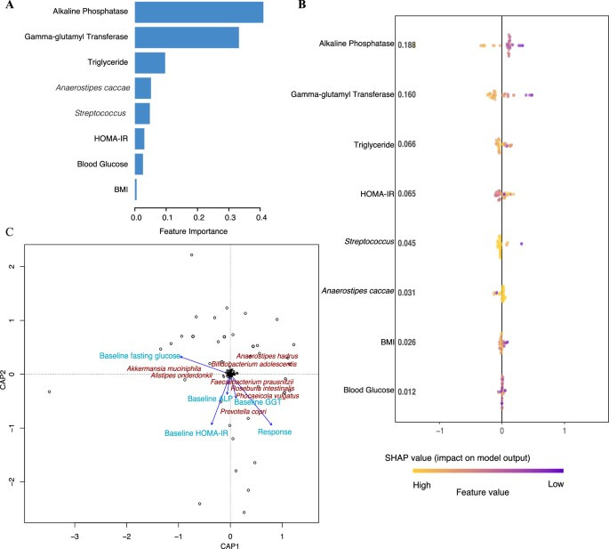 브로콜리 새싹 추출물의 당뇨 전단계 치료 주요 결과는 무엇인가요?