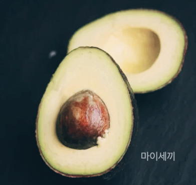 노화 방지