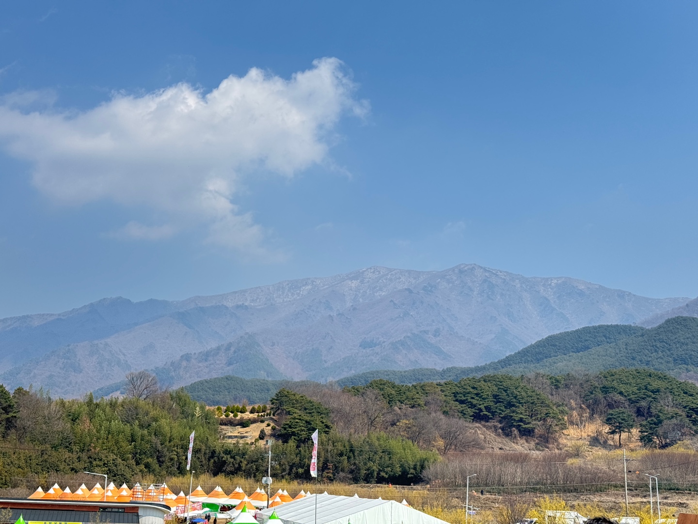 구례산수유축제