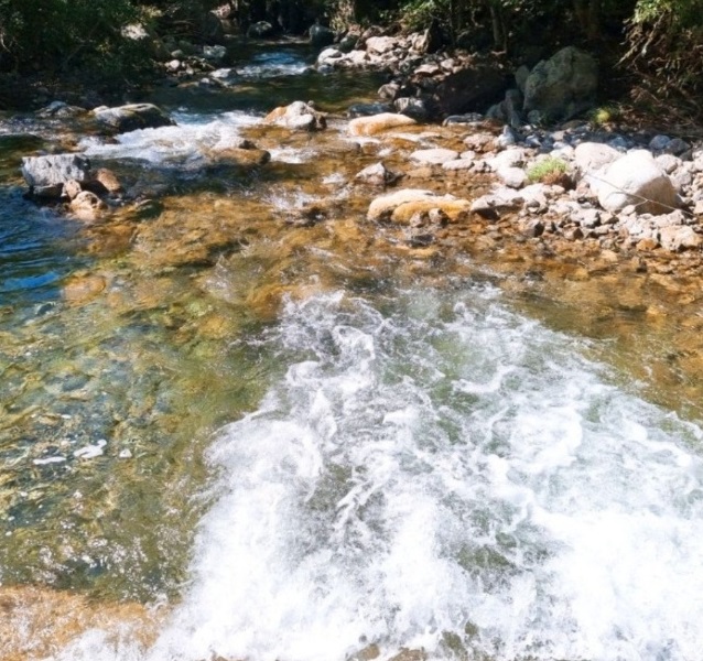 6시내고향-봉화약초민박