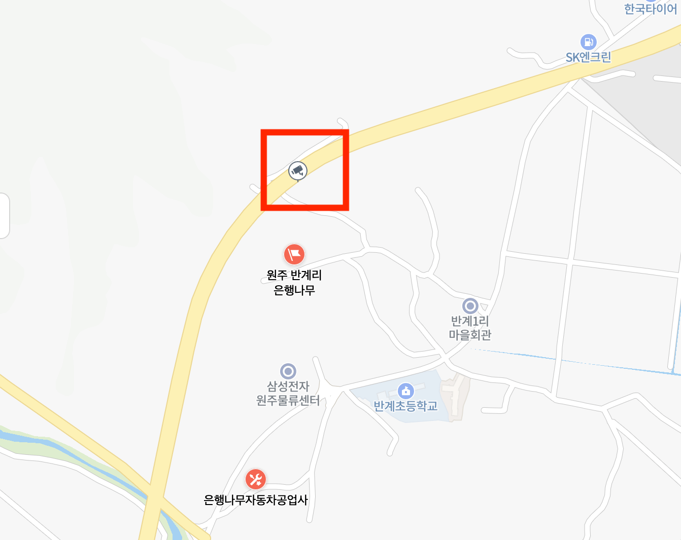 반계리 은행나무 CCTV 영상3