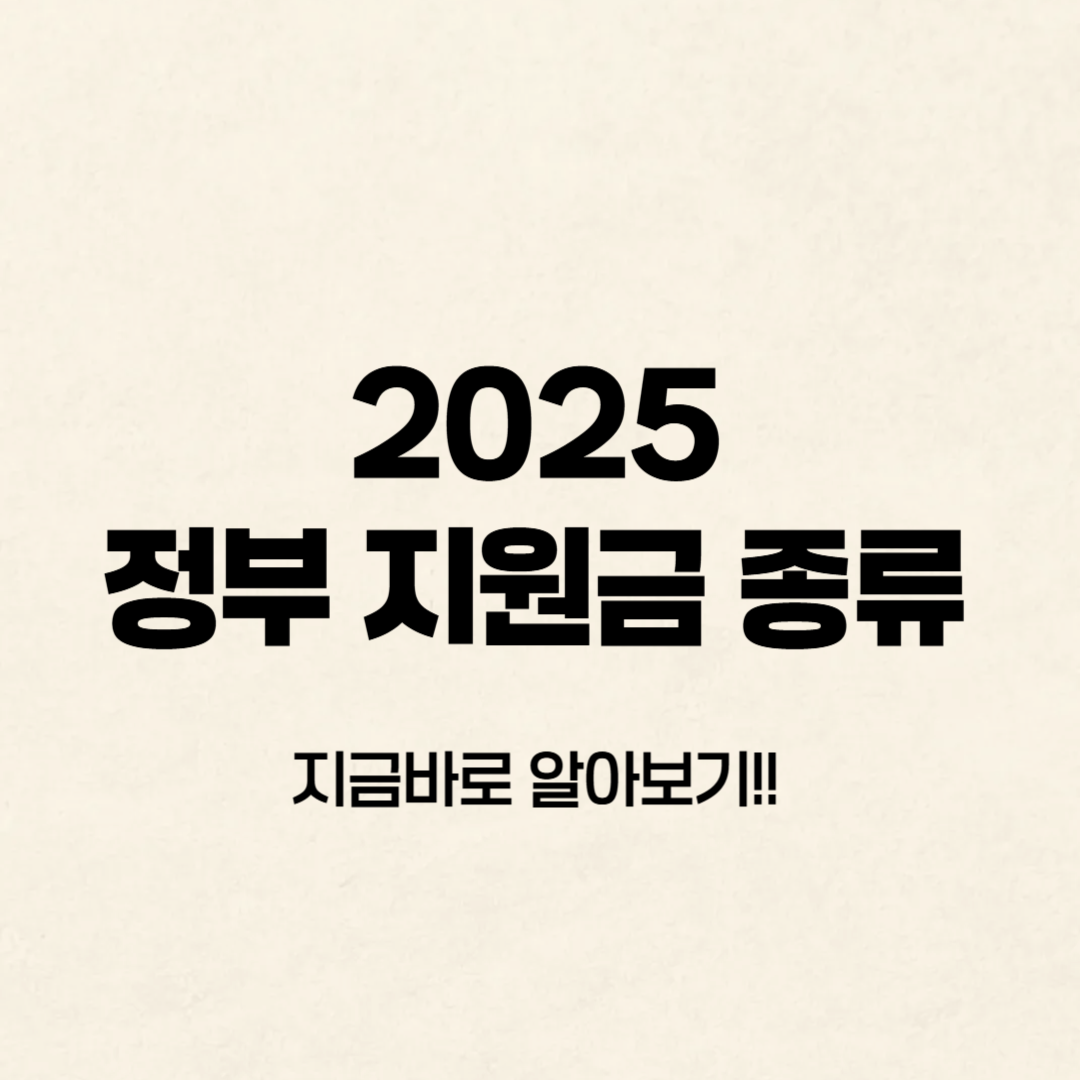 정부지원금 종류✅