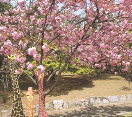 서울대공원-인스타그램출저