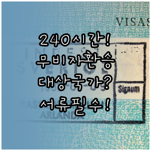 중국 240시간 무비자 환승 대상 국..