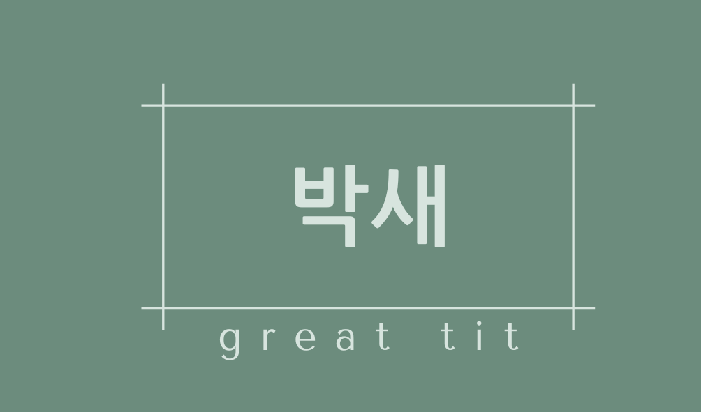 박새(great tit)