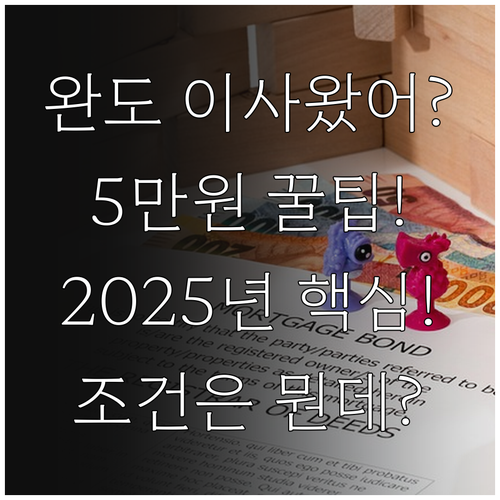 완도군 전입자 5만원 상품권 2025..