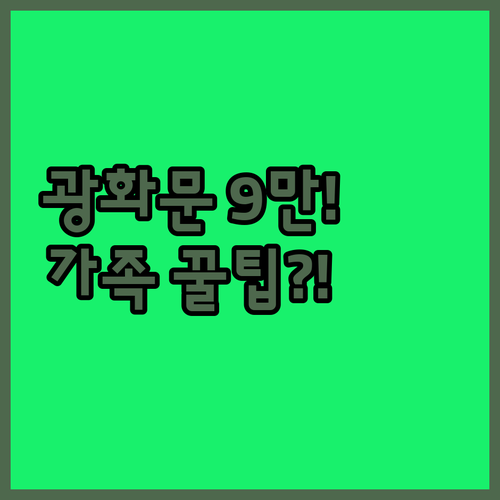 9만원대부터 26만원대 서울 종로 광..