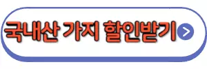 국내산 가지