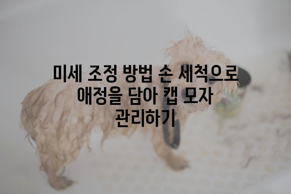 미세 조정 방법 손 세척으로 애정을 담아 캡 모자 관리하기