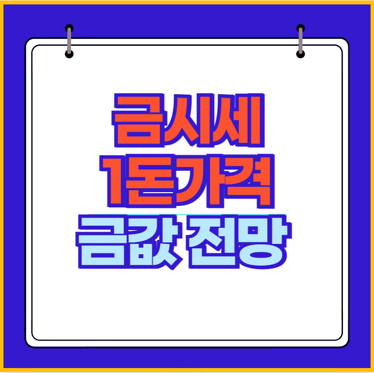 금시세 1돈가격 금값 전망
