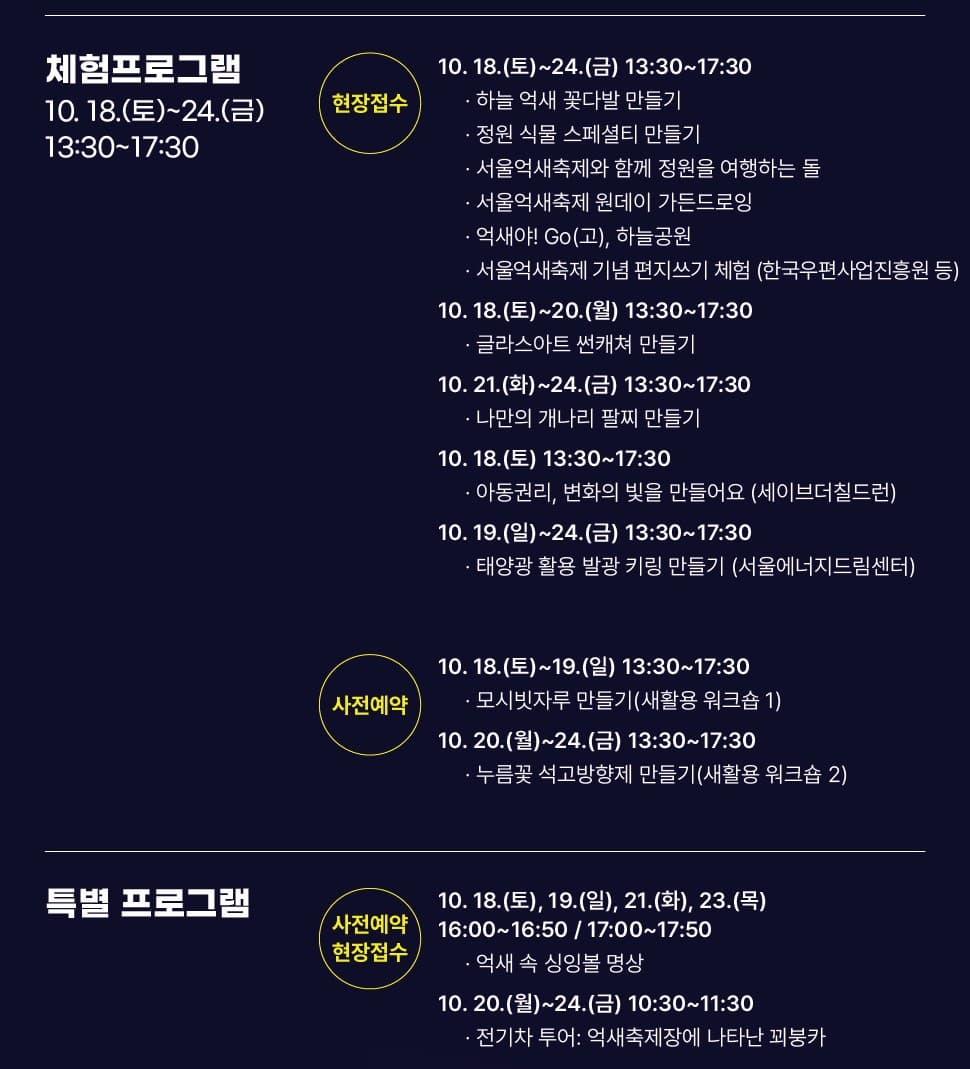 🌾 2025 서울억새축제 완벽 가이드