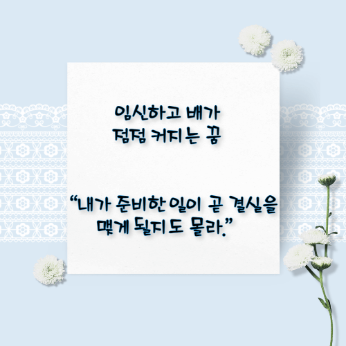 임신하는 꿈해몽