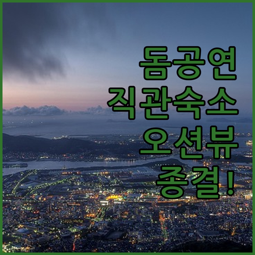 후쿠오카 페이페이 돔 공연 직관 필수..