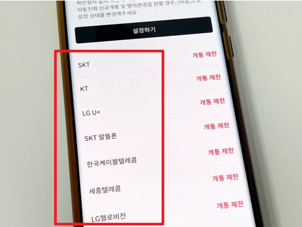 PASS 명의도용방지서비스 신청