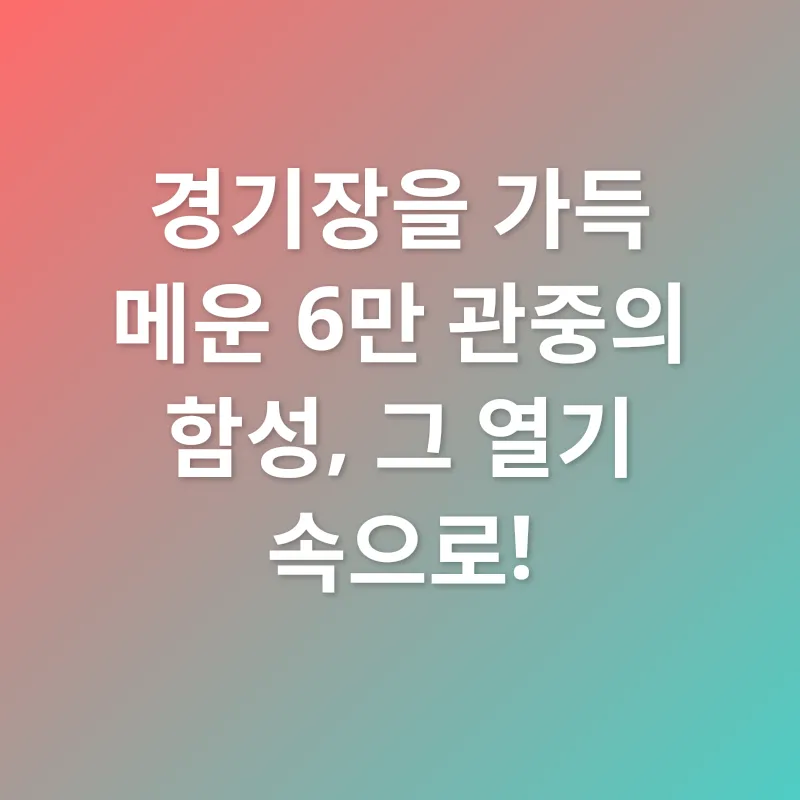 축구 경기 직관_1