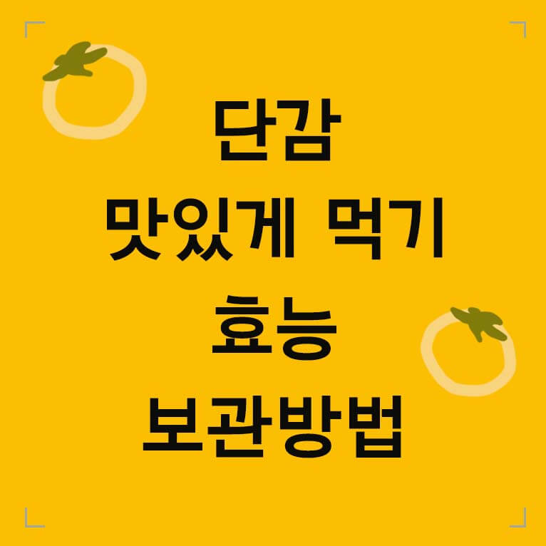 단감 맛있게 먹기 효능 보관방법 글씨 섬네일