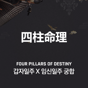 갑자일주 X 임신일주 궁합