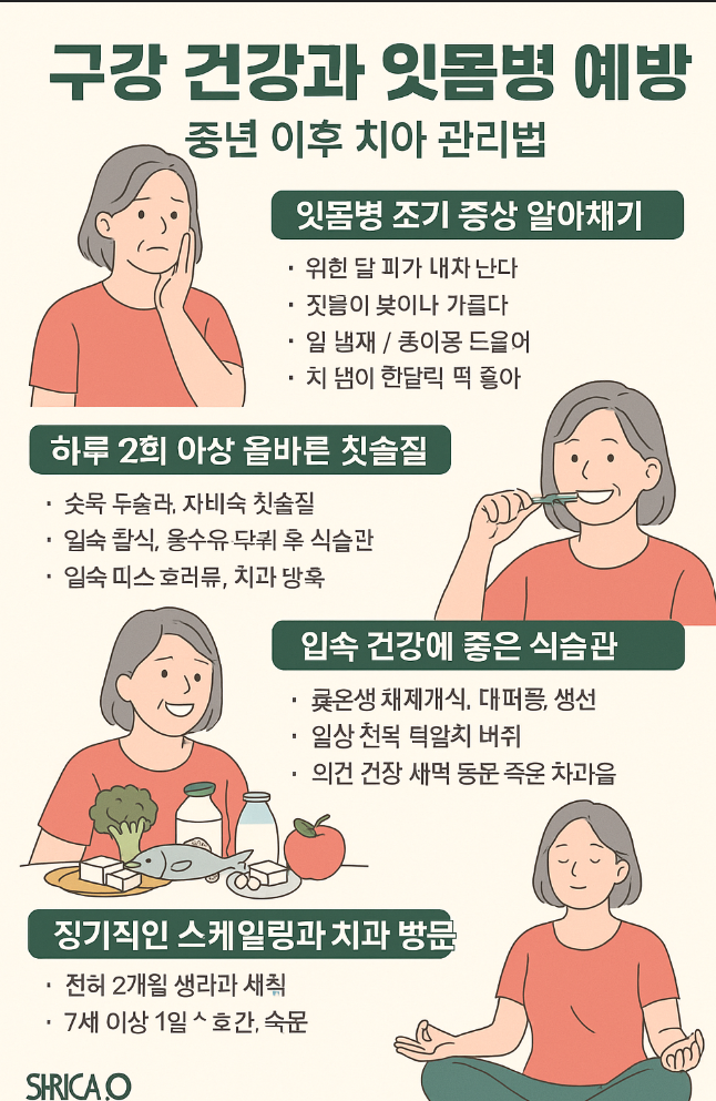 충년이후 치아 관리법 하루 2회 이상 올바른 칫솔질