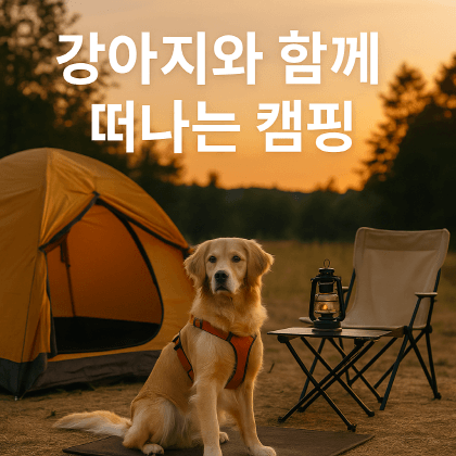 강아지와 함께하는 캠핑 준비물 총정리