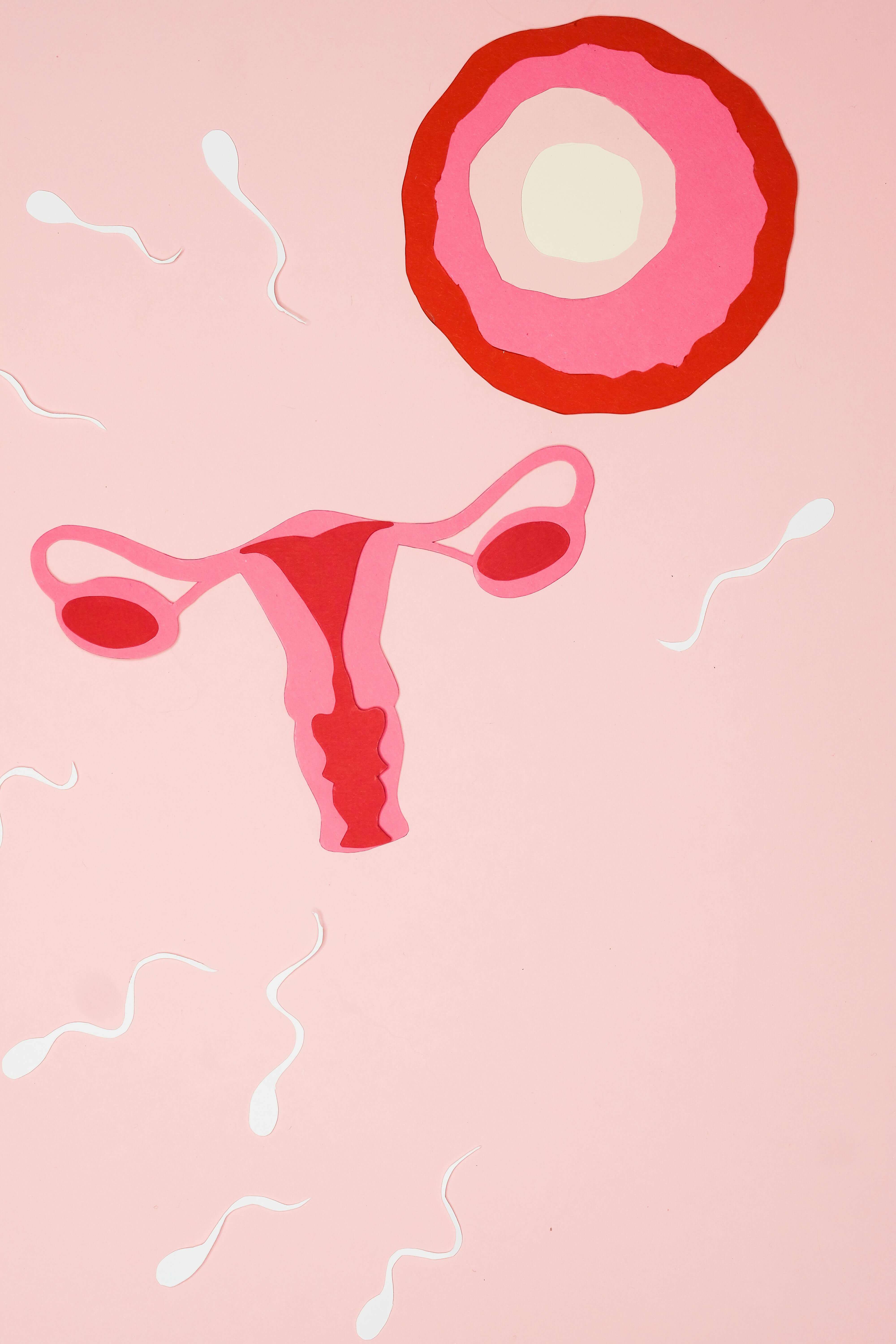 냉동난자 보조생식술 지원사업 신청 방법