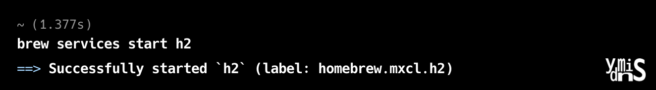 h2가 성공적으로 실행된 모습이다.