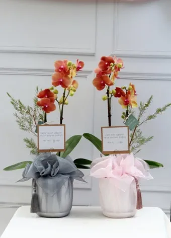 상견례 때 사돈 선물 추천 10선_10