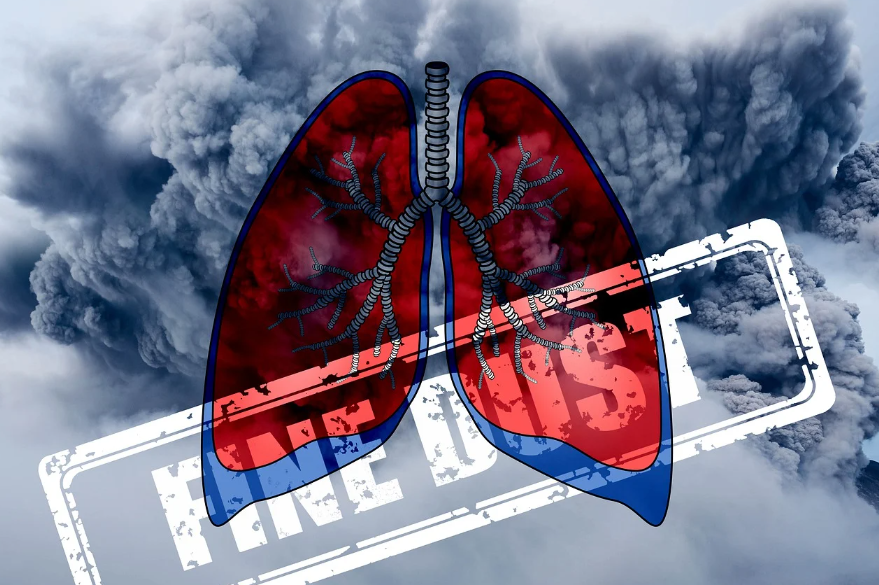 미세먼지의 위험성, 왜 뇌와 심장에까지 영향을 줄까?