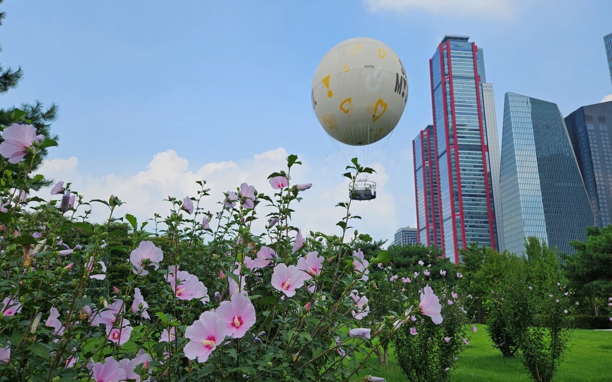 서울달 스틸샷6