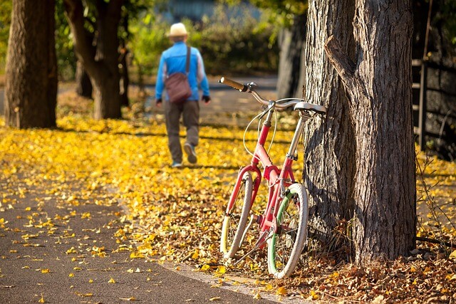 섬진강가 마을에서 전해지던 은행잎 찹쌀떡