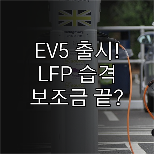 기아 EV5 롱레인지 2WD LFP ..