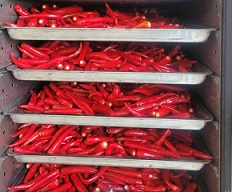 저온제습건조기