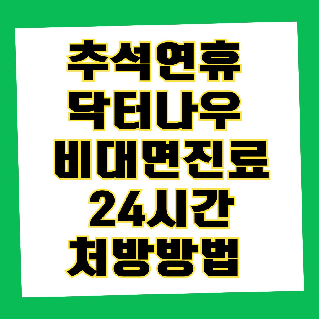 추석연휴 닥터나우 비대면진료 24시간 처방방법