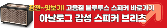 브리츠 스피커