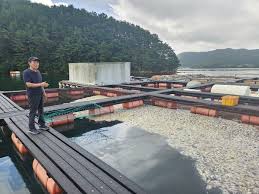 2025 거제시 전 시민 생활안정지원금 -양식장피해