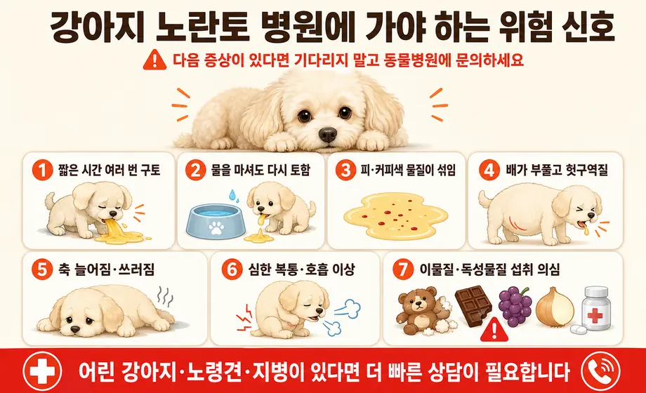 강아지 노란토와 함께 반복 구토, 피가 섞인 구토, 배 팽창, 무기력, 복통이 나타날 때 병원에 가야 하는 위험 신호