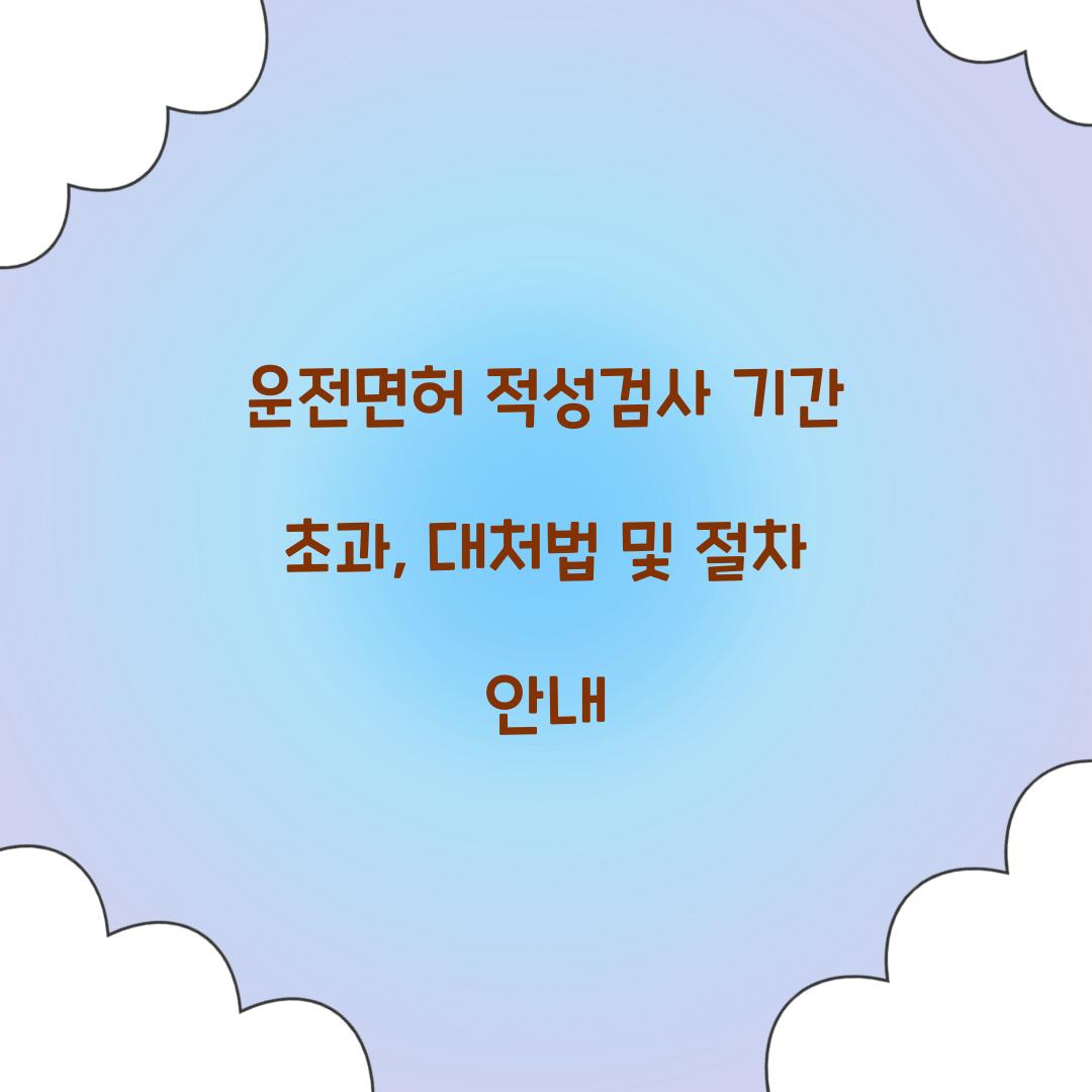 운전면허 적성검사 기간 초과