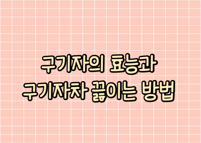 구기자의 효능과 구기자차 끓이는 방법 글자 이미지