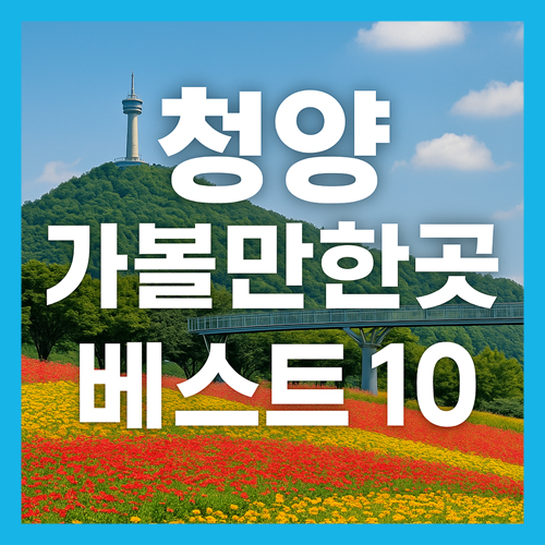 청양 가볼만한곳 베스트10