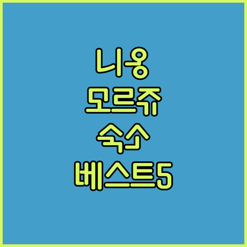 스위스 니옹 모르쥬 여행 숙소 추천 ..