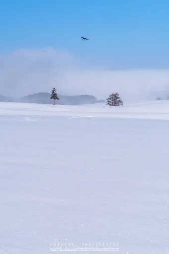 7월 8월 북해도 여름 날씨 홋카이도 삿포로 여행 최적기 성수기 옷차림 완벽 가이드_19