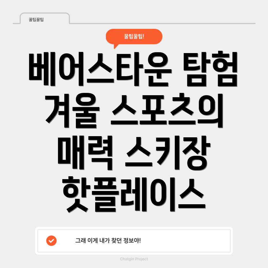 베어스타운 스키장