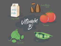 비타민B가 필요한 이유