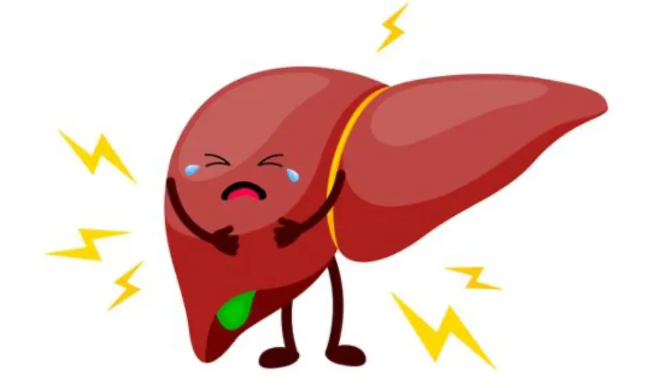 간수치가 높으면 나타나는 증상