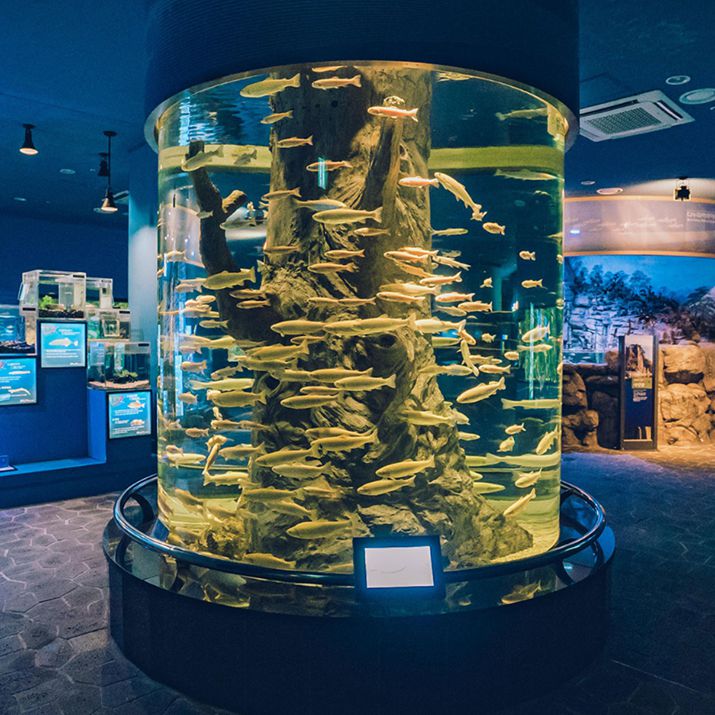 다누리아쿠아리움