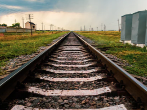 부정맥에 좋은 음식