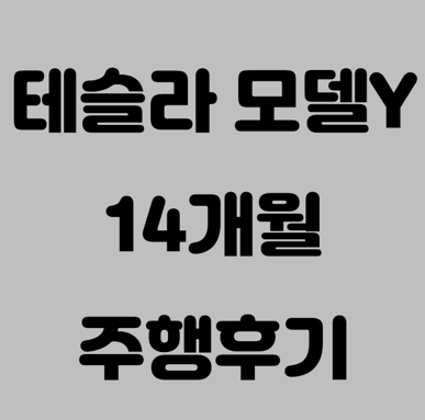 테슬라 1년 타보니 후회되는 점 3가지 (2025년 최신 후기)