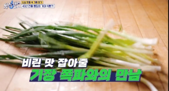식스센스 시티투어 레전드 오브 빵 – 50cm 자이언트 식빵, 부산 빵지순례 옵스